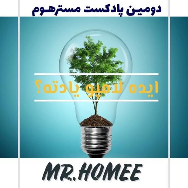 خلاقیت در خانه یک بانو