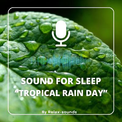 Sound for sleep | Tropical Rain Day | 3 hours