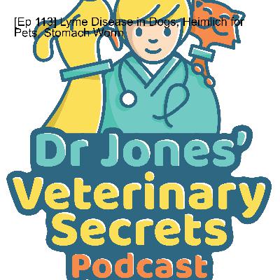 [Ep 113] Lyme Disease in Dogs, Heimlich for Pets, Stomach Worm