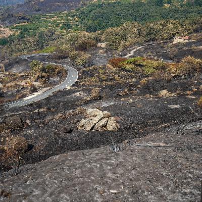 Mundo rural - Efectos de los incendios, filoxera en la viña Canaria e iniciativas contra la despoblación - 20/08/25