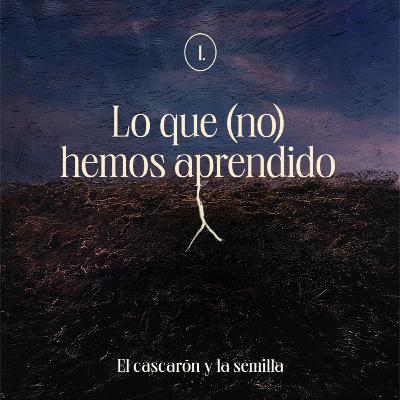 Lo que (no) hemos aprendido