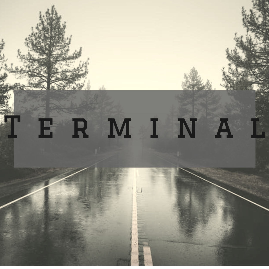 Terminal