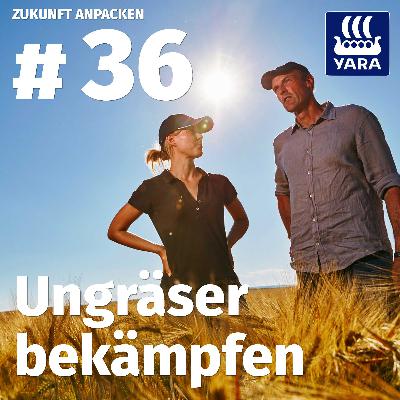 #36: Ungräser effektiv bekämpfen