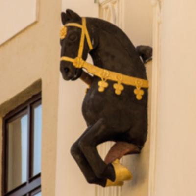 Episode 13: Learn Basic Czech Words With a Story - The Kinky Horse and "Barák (ברק)" in Olomouc