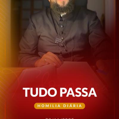 Homilia Diária - Tudo passa | 2025.11.28