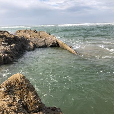 pacific ocean white noise