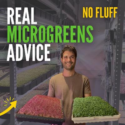 Microgreens Business Q&A: Profits, Problems & Pro Tips
