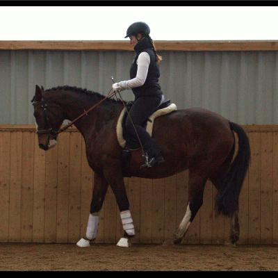 Rückwärts richten Rückwärts richten