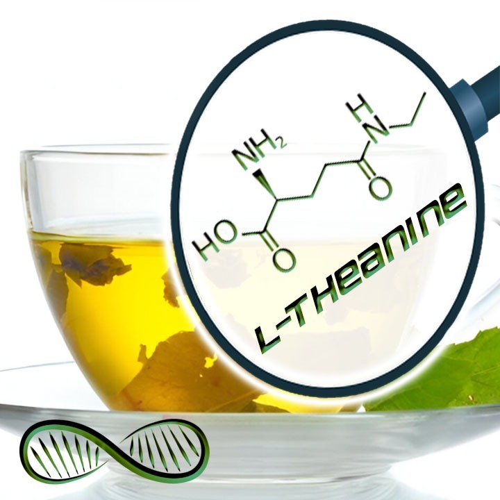 L-Theanine 🍵 The Nootropic ingredient of green tea that delivers relaxation without sedation