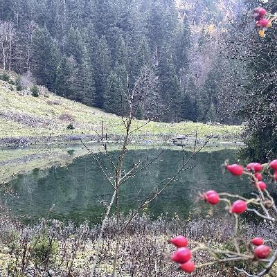 Gaza / Lieux de légendes / Trop dʹimages (4)