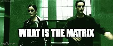 #5: Fashion-Forward or Fashion-Follower in the Simulation #5: Fashion-Forward or Fashion-Follower in the Simulation