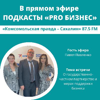 О государственно-частном партнерстве и мерах поддержки бизнеса