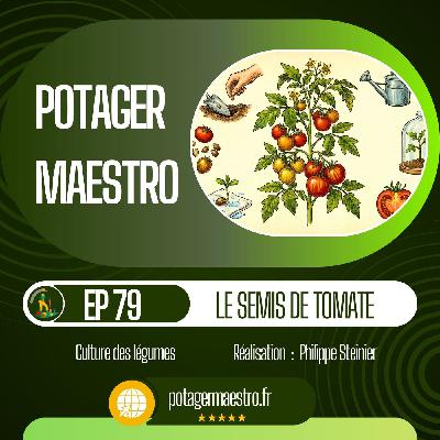 Semis de tomate : réussir vos plants année après année !