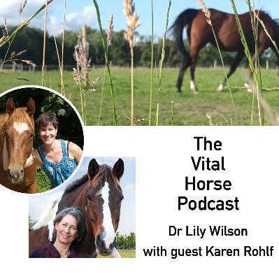 Horse health and happiness with Karen Rohlf Horse health and happiness with Karen Rohlf