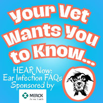 HEAR Now: FAQs about Ear Infections in Dogs - Part 1