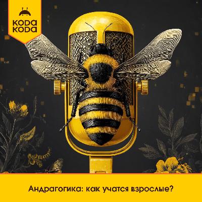 Андрагогика: как учатся взрослые?