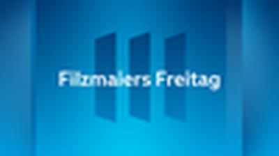 Filzmaiers Freitag: Nationalrat und Fußball-WM Filzmaiers Freitag: Nationalrat und Fußball-WM