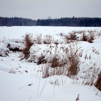 January 5, 2026: A Wintry New Year, DIY Danger, What's in a Name (Change), and Akenfelds by the Sea January 5, 2026: A Wintry New Year, DIY Danger, What's in a Name (Change), and Akenfelds by the Sea