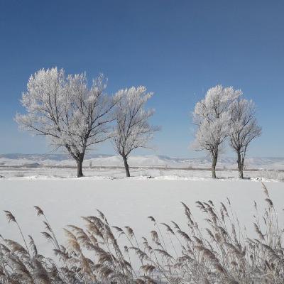 El Triángulo de hielo