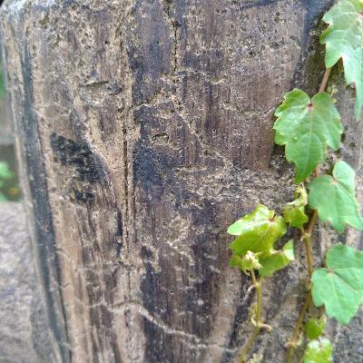 のりこ、ピアノ瞑想を語る④ のりこ、ピアノ瞑想を語る④