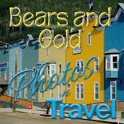 Bears and Gold - June, 2024 Bears and Gold - June, 2024