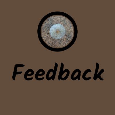 "आषाढ़ का एक दिन" - 8th Jan 2022 feedback | Mohan Rakesh | Direction Rama Yadav