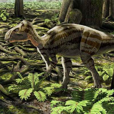 Zalmoxes, of the Dacian Deity Zalmoxes, of the Dacian Deity