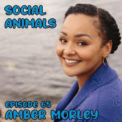 Amber Morley Amber Morley