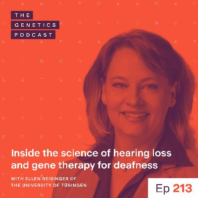 EP 213: Inside the science of hearing loss and gene therapy for deafness with Ellen Reisinger of the University of Tübingen