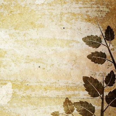 Métodos de razonamiento