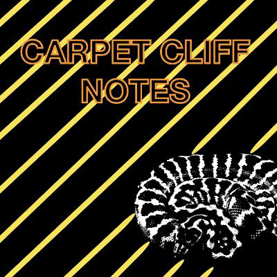 Carpet python overview and misconceptions