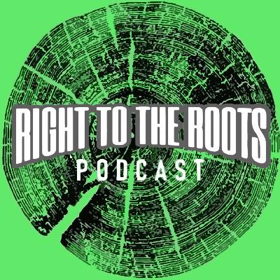 Episode 8 - Never mind the bollocks