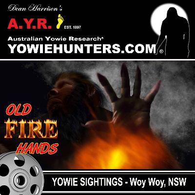 Yowie Sighting at Woy Woy, New South Wales 1990 +