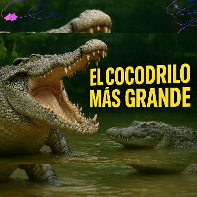 EL COCODRILO MAS GRANDE DEL MUNDO EL COCODRILO MAS GRANDE DEL MUNDO