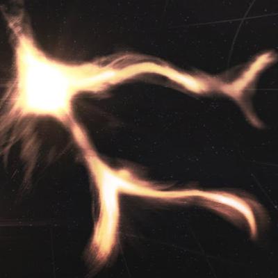 The Great Attractor