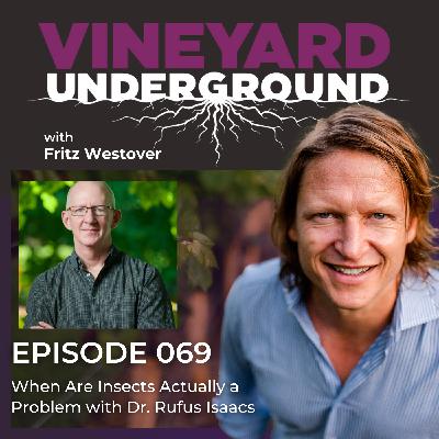 069: When Are Insects Actually a Problem with Dr. Rufus Isaacs
