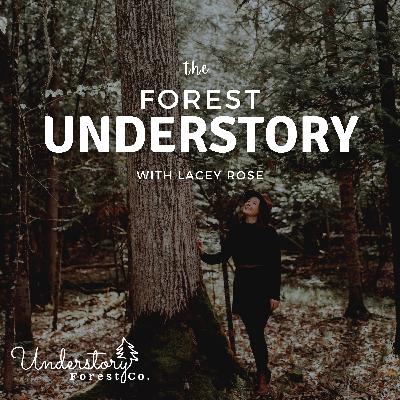 Intro to The Forest Understory