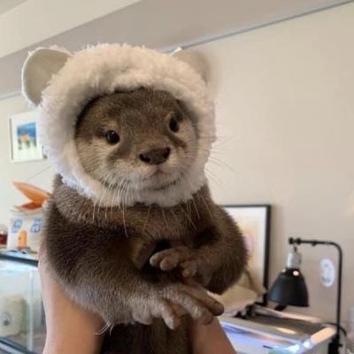 Biografi Nyonya Meneer