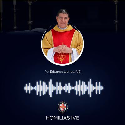 ”Nosso refúgio e proteção residem no amor de Deus”