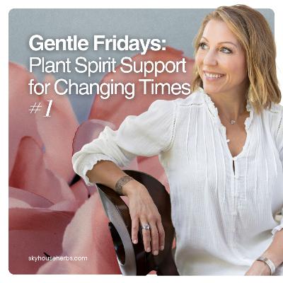Gentle Fridays: Plant Spirit Support for Changing Times #1