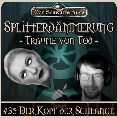 DSA - Die Splitterdämmerung - Träume von Tod 35 DSA - Die Splitterdämmerung - Träume von Tod 35