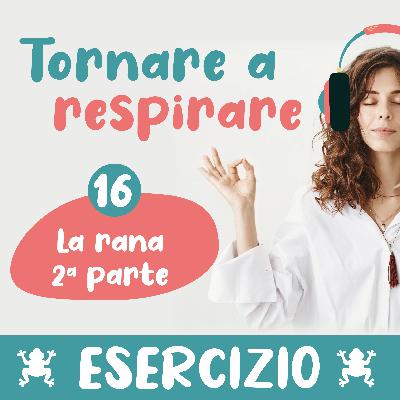 16. La rana - seconda parte