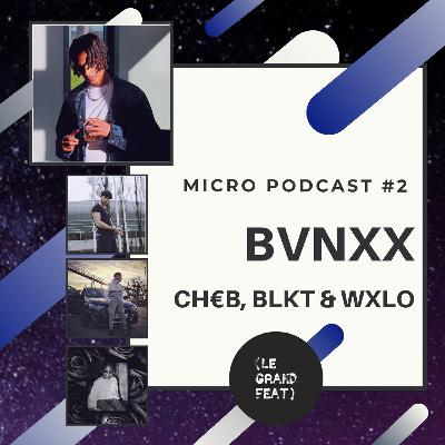 Micropodcast #2 - Bvnxx pour "Terre Gaste"