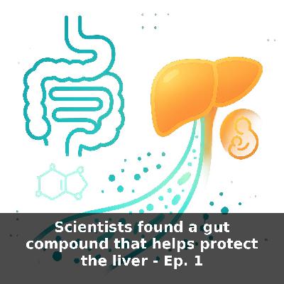 Gut and Liver Health — New Indole Microbiome Discovery