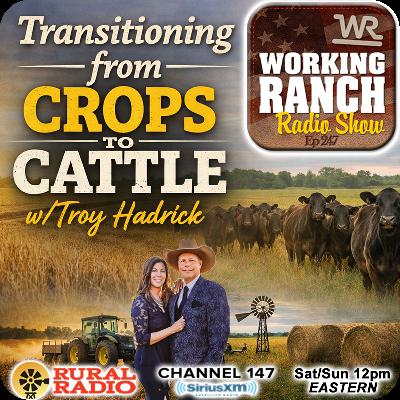 Ep 247: Transitioning from Crops to Cattle w/ Troy Hadrick Ep 247: Transitioning from Crops to Cattle w/ Troy Hadrick