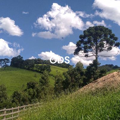 ODS - Objetivos de Desenvolvimento Sustentável de número 13 - episódio 1 ODS - Objetivos de Desenvolvimento Sustentável de número 13 - episódio 1
