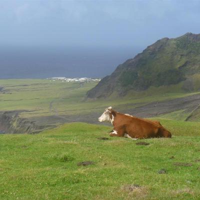 Ep.1 Matando a Quentin