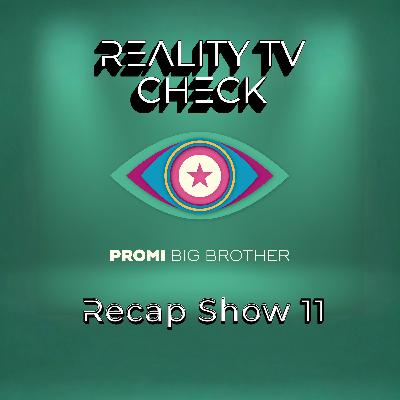 #234 - Pias Promi Big Brother Recap Show 11