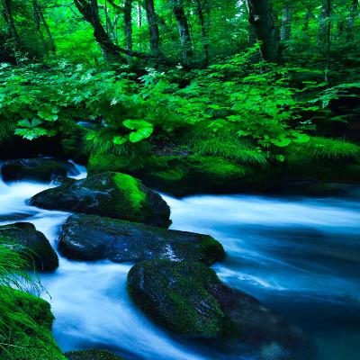 Río que fluye calmante | 8 horas de agua corriendo sobre rocas