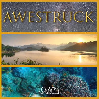 Awestruck, Did You Eat? Awestruck, Did You Eat?